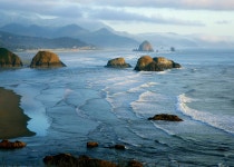 [브런치북] 시와 사유, 풍요로운 나의 일상