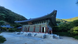 세 여자가 비는 이유