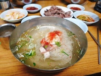 메밀냉면 맛집기행