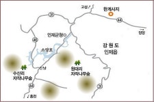 언택트 가을나들이(Ⅰ)