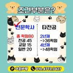 반려동물학 학점은행제로 원하던 과정 성공했어요!