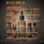 향기로 깨우는 커피와 아로마 향기로 깨우는 커피와 아로마