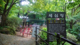 속리산