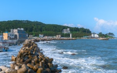 바다 위 산책도 하고, 낚시도 하고