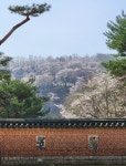82. 봄날에 찾은 멋진 전시회