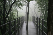 12. 안산자락길(Ⅱ)