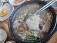 혼밥의 즐거움(124) 능이버섯 오리탕