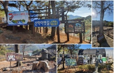 한국관광 10선, 충북 괴산 가볼만한 곳 산막이옛길