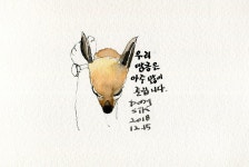 40. 땅콩 별이 되다