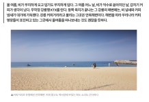 비와 커피 사이