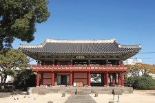담쟁이 걸음 제주 원도심에  다시 사람이 모이고 