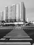 질서(秩序)