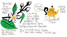 28화 티소믈리에