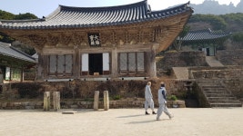 달마고도와 땅끝마을, 해남 달마고도와 땅끝마을, 해남 