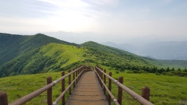 초록 능선의 매력, 소백산 초록 능선의 매력, 소백산 