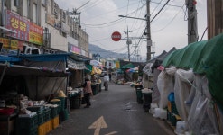 도보방랑가의 새벽 산책: 전주, 낡은 도시를 기록하다