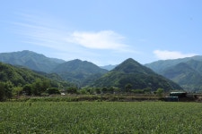 산모퉁이 돌고 돌아
