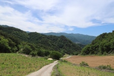 산모퉁이 돌고 돌아