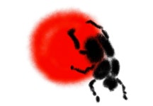 17화 소똥구리