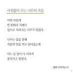 아낌없이 주는 나무의 죽음