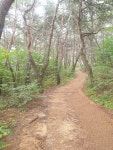 06화 한번 해보믄 아 안다.