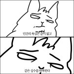 도전! 이모티콘 작가 (9)  도전! 이모티콘 작가 (9)