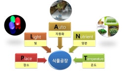 06화 경제성 있는 스마트팜의 조건