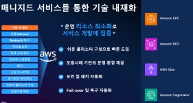 3333. 카카오 페이 손해보험-2024-08