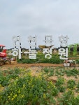 인천 하늘정원. 비행기가 10분마다 날아다님-2024