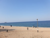 속초 바다정원.바다가 보이는 카페.좋다.