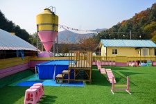 봄나들이 추천 카페 & 애견동반펜션 BEST 3