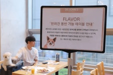 세인트존스 호텔 강원도 강릉 애견 동반 펫캉스 추천!