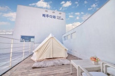 강아지와 함께 견생샷 보장하는 제주도 애견동반 숙소