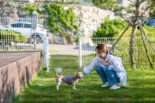 반려견과 마음껏 뛰어놀 수 있는 애견동반펜션 TOP 5
