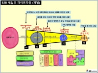 B2B인사이트셀링 세일즈스쿨 안내 자료