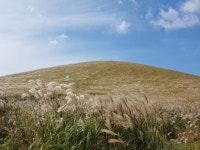 아름다운 5060 | 제주 