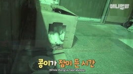 [동물농장] 심심한 댕댕이랑 놀아주는 동농 제작진ㅋㅋㅋ - 인스티즈... 이슈 카테고리 [동물농장] 심심한 댕댕이랑 놀아주는 동농 제작진ㅋㅋㅋ