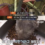 [TV동물농장] 나보다 큰 내새끼 - 인스티즈(instiz) 이슈 카테고리 [TV동물농장] 나보다 큰 내새끼
