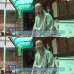 [TV 동물농장] 절에 사는 미국 출신 귀족 불독 - 악플달면... 차분한 20대들의 알흠다운 공간 [TV 동물농장] 절에 사는 미국 출신 귀족 불독