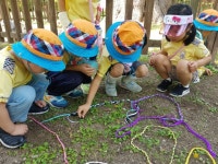 6월 숲체험-2 - 애플반 - 사릉삼육어린이집 6월 숲체험-2