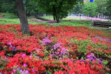 ♡지리산둘레길 18구간 탐방 2편 ♡ - 지리산둘레길걷기 - 대한민국둘레길걷기 ♡지리산둘레길 18구간 탐방 2편 ♡
