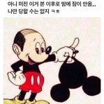탈모마우스(동심파괴주의).jpg - 인스티즈(instiz) 이슈 카테고리 탈모마우스(동심파괴주의).jpg