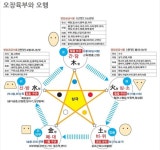 오장과 육부와의 관계 - 생활/건강/상식 - 마음드리봉사단 오장과 육부와의 관계