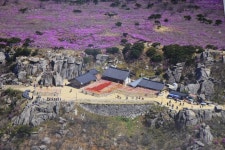 2019. 2. 2. 토. - 무도선원 부처님말씀 - 무도선원 2019. 2. 2. 토.