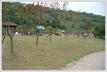 서울특별시 마포구 상암동의 옛 모습.jpg - 인스티즈(instiz) 이슈 카테고리 서울특별시 마포구 상암동의 옛 모습.jpg