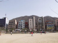 서울특별시 강남구 개포4동의 옛 모습.jpg - 인스티즈(instiz) 이슈 카테고리 서울특별시 강남구 개포4동의 옛 모습.jpg