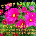 쭉빵카페 | 🌼 요일별 응원 문구 짤 모음 🌼 - Daum 카페  요일별 응원 문구 짤 모음 