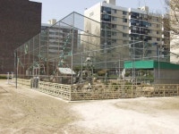 서울특별시 강남구 개포4동의 옛 모습.jpg - 인스티즈(instiz) 이슈 카테고리 서울특별시 강남구 개포4동의 옛 모습.jpg