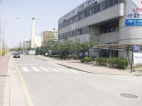 서울특별시 강남구 개포4동의 옛 모습.jpg - 인스티즈(instiz) 이슈 카테고리 서울특별시 강남구 개포4동의 옛 모습.jpg