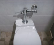 공중화장실 변기 레버 논란.jpg - 인스티즈(instiz) 이슈 카테고리 공중화장실 변기 레버 논란.jpg